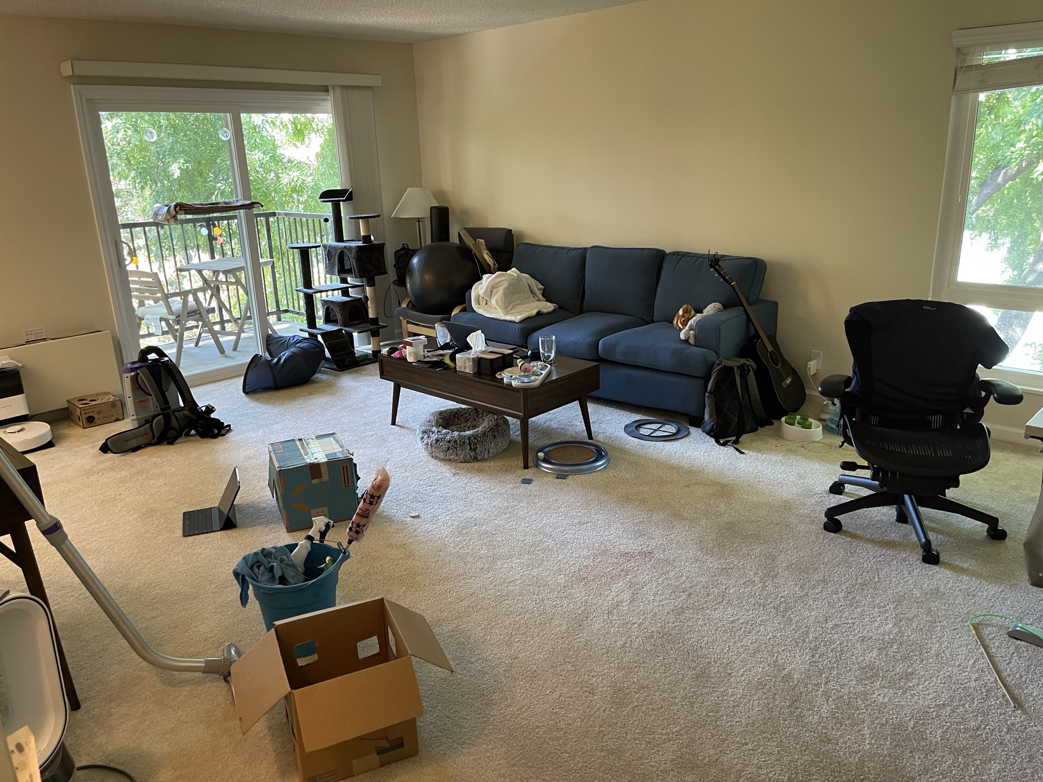 Kitchen cleaning - appliances spotless