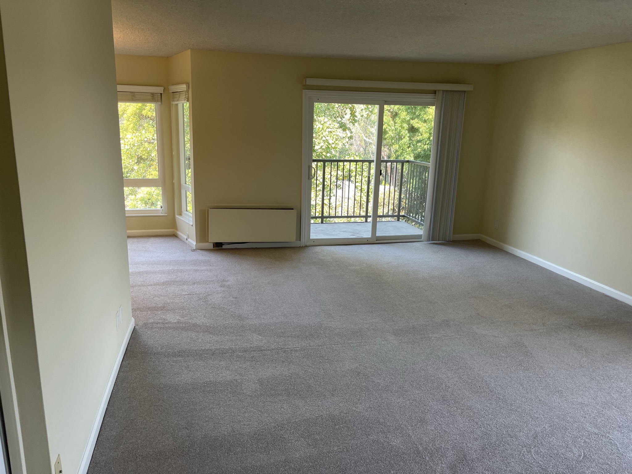 Empty living room cleaned